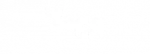 All-About-Art-300x109.png (2)