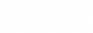 Aquaflask-300x109.png (1)