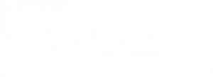 Evo-300x109.png (1)